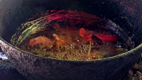Frying fresh fish in large pot over open wood fire. Close up Vídeos de archivo 336024046