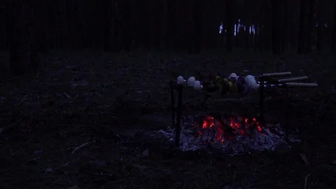 Frying fresh vegetables on roasting coals of burning forest bonfire on dark Stock Footage 102389985