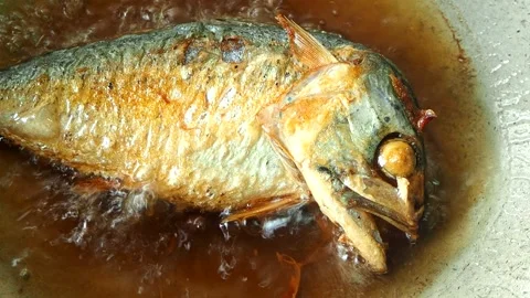 Frying mackerel fish in pan, in door Chiangmai Thailand. Stock Footage 241632532