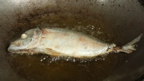 Frying mackerel fish in pan Stock Footage 83441526