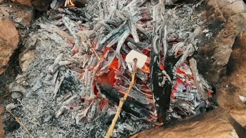 Frying marshmallows on the fire Video stock 131086630