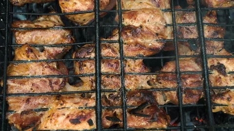 Frying meat on the coals. In the barbecue Stock Footage 111278684