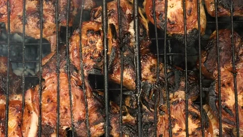 Frying meat on the coals. In the barbecue Stock Footage 111279369
