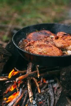 Frying meat in a pan over an open fire with leek. Steak in a pan on a bonfire Stock Photos