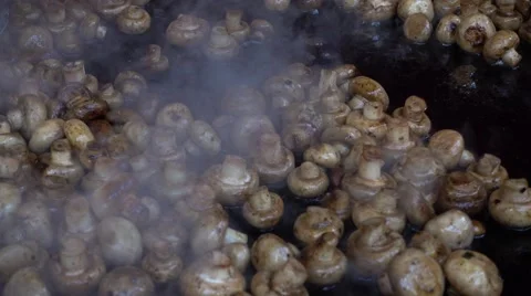 Frying mushrooms in a pan Stock Footage 61909659