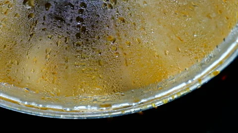 Frying pan chicken Stock Footage 62984185