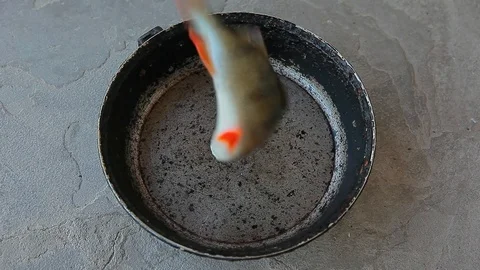 Frying pan fish perch stone background Stock Footage 113559785