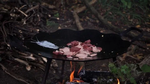 Frying pan in the nature, cooking over an open fire Stock Footage 114631283