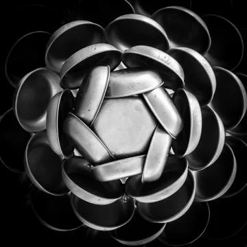 Frying Pans Bloom 写真素材