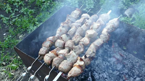 Frying pork on a skewer over a brazier. Appetizing shish kebab. Delicious Stock Footage 155759972