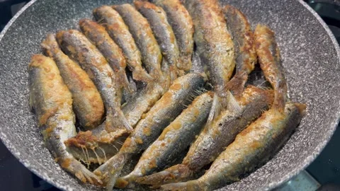 Frying sardines in pan by oil Stock Footage 334444936