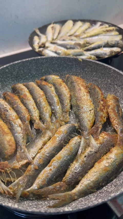 Frying sardines  in pan by oil Stock Footage 334444983