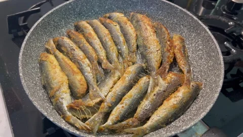 Frying sardines in pan by oil Stock Footage 334445010