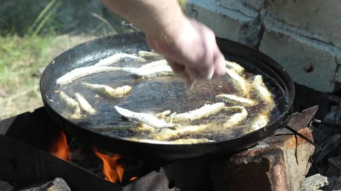 Frying small fish on open fire outdoors in cast iron pan Stock-Footage 312522413