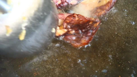 Frying  squid  in pan , in door  Chiangmai Thailand Stock Footage 131978343