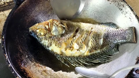 Frying Tilapia fish in pan, outdoor chiangmai Thailand. Stock Footage 304863759