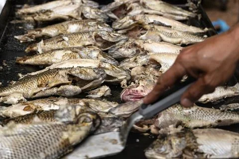 Frying Tilapia Whole Fish Stock Photos