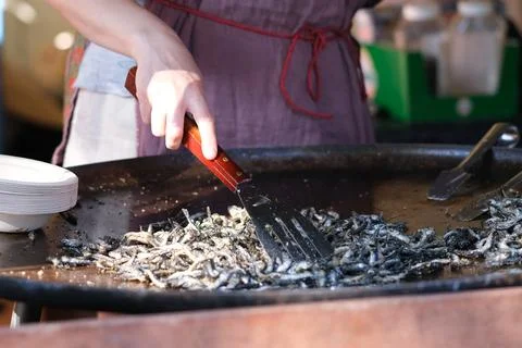 Frying vendace fish Stock Photos