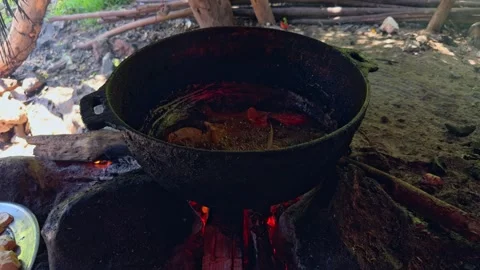Frying whole fish in large pot over open wood fire. Close up Video stock 336046472
