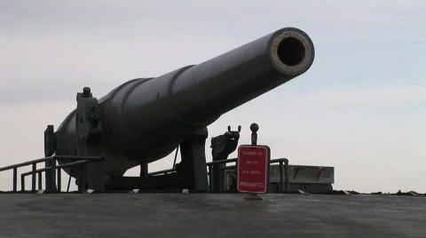 FS cannon Video stock 343490