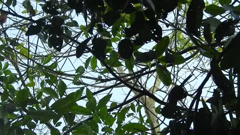 FSCN0049 Stock Footage 308391857