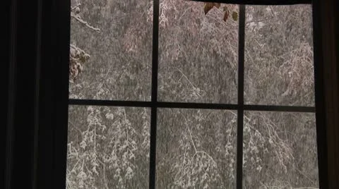 FSF17- Video stock 8931632