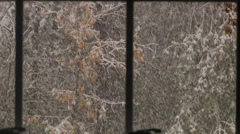 FSF18- Video stock 8931625