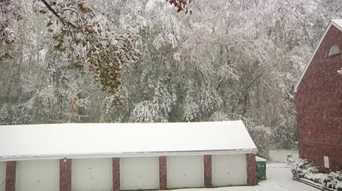 FSF23- Video stock 8931788