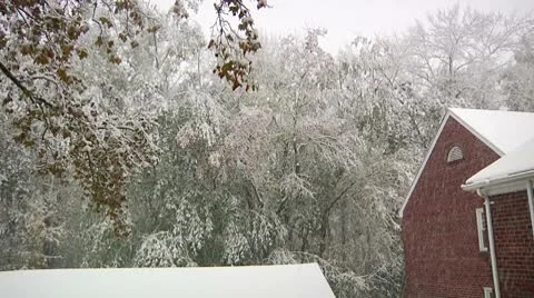 FSF24a- Vídeos de archivo 8931691