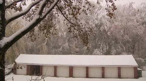 FSF36a- Video stock 8931730