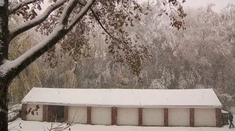 FSF36b- Video stock 8931825