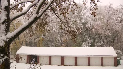 FSF45b- Stock Footage 8931849