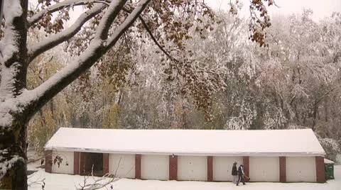 FSF45c- Video stock 8931850