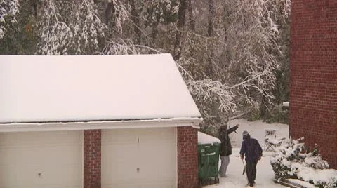 FSF45d- Vídeos de archivo 8931804