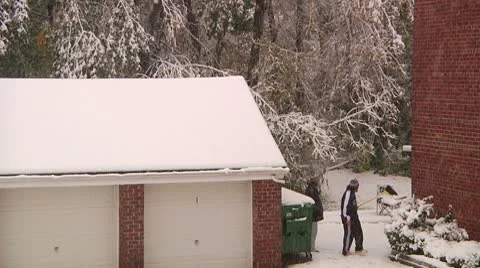 FSF45e- Video stock 8931835