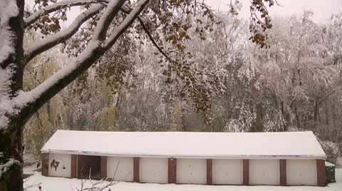 FSF48- Video stock 8933313