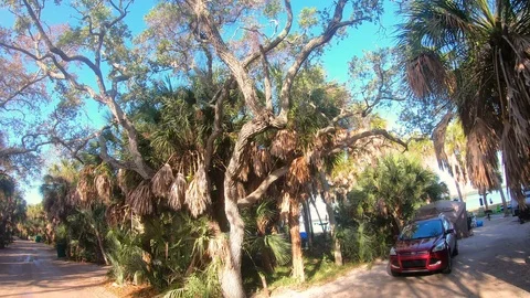 Ft DeSoto Camping Видео 126604792