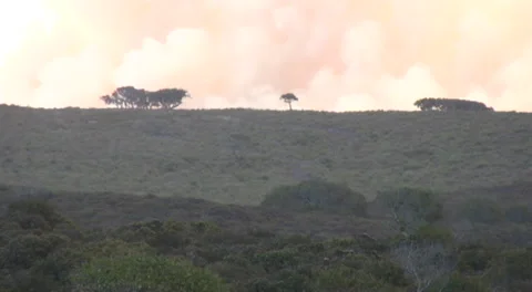 Ft. Ord Burning Stock Footage 227261906