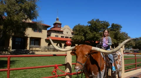 Ft Worth Texas Main Street the Stock Exchange building with longhorn in front Vídeo Stock 45209945