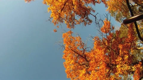 FTG Spin Slow Motion Stock Footage 45531604