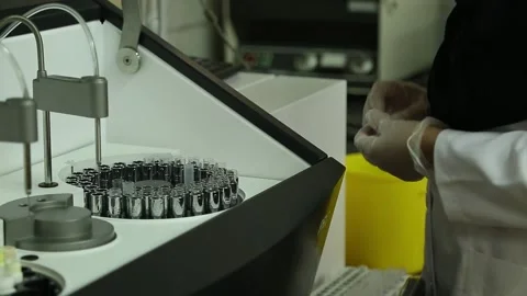 FU8A3941 Stock Footage 164704001