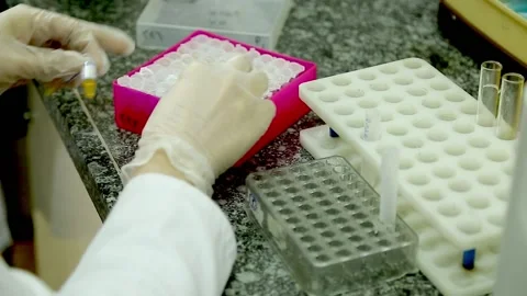 FU8A3942 Stock Footage 164703992