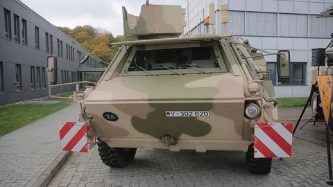 Fuchs totale Stock Footage 119227873