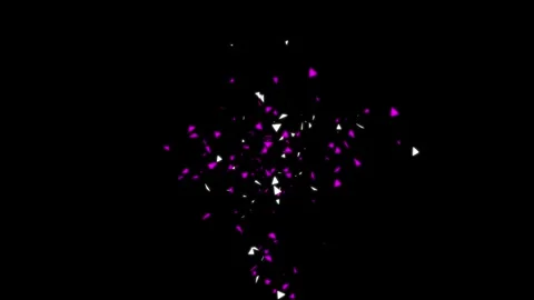 Fuchsia and White Confetti Explosion on Black Background Animation Overlay Stock Footage 331958302