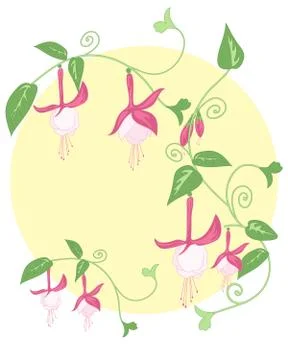 Fuchsia design Stock Illustration
