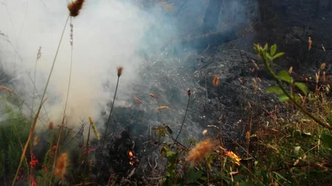 Fuego3 Video stock 201490349