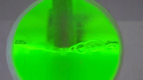 Fuel made from algae in laboratory Stock Footage 93518104