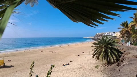 Fuerteventura beach Stock Footage 262467046