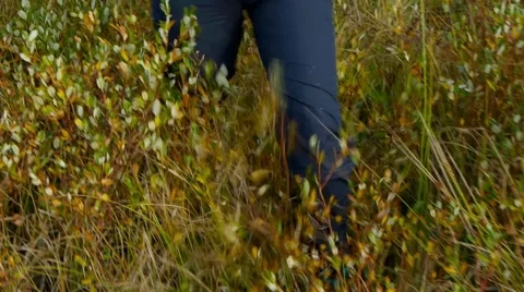 Fugitive who goes cautiously through a swamp Stock Footage 58298885