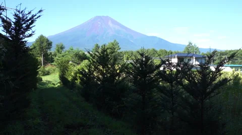 Fuji image of early summer Stock Footage 67315024